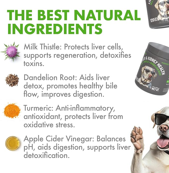 Liver & Kidney Support for Dogs Detox Natural Supplement with Milk Thistle Dandelion Root Turmeric Curcumin Hepatic Support Treats for Canine Liver Function, Immunity & Digestion 120 Soft Chews