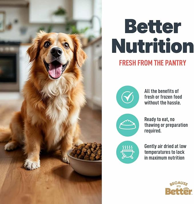Because it's Better Slow Baked and Air Dried Dog Food, Real Salmon and Veggies, 1lb Bag, Complete and Balanced Dry Dog Food, for All Life Stages