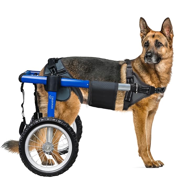 Dog Wheelchair for Back Legs, Dog Wheelchair with All-Terrain Tires & Durable Bearings, Large Dog Wheelchair for Back Legs,88.1-132.2 lbs(XXL)