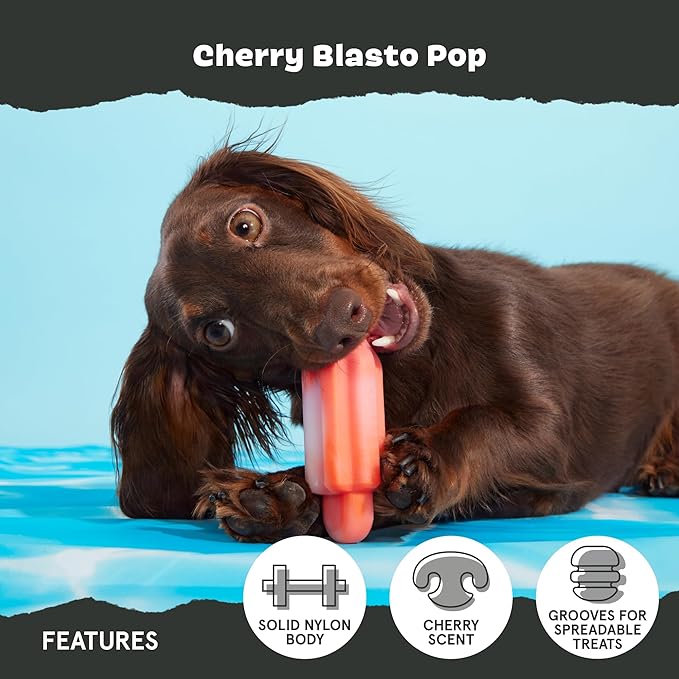 Barkbox Cherry Blasto Pop Dog Toy | Durable Nylon Popsicle Chew Toy for Aggressive Chewers | Dog Toys for Small Dogs, Puppy Teething Toys & Summer Fun