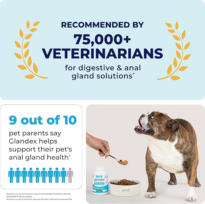 Vetnique Glandex Dog Fiber Supplement Powder for Anal Glands with Pumpkin, Digestive Enzymes & Probiotics - Vet Recommended (Regular or Advanced Strength) - Boot The Scoot (5.5 oz, Pork Liver)