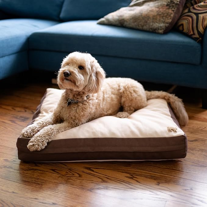 Rawry Orthopedic Dog Bed | Memory Foam Dog Bed with Handle | Water-Resistant, Machine Washable Cover | Floor Cushion for Cats, Dogs & People - Tan/Brown (Medium - 30" x 24")