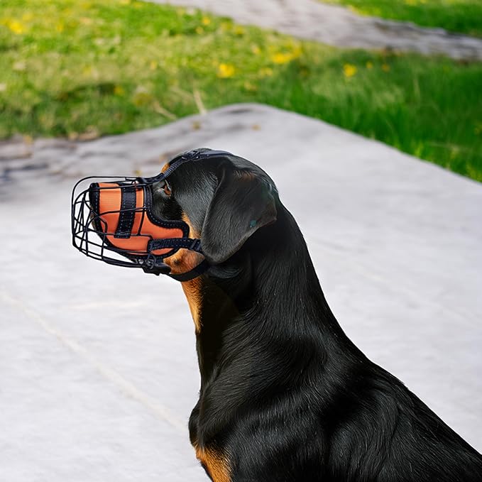OOPSDOGGY Metal Dog Muzzle for Large Dog, Adjustable Brethable Wire Basket for Rottweiler to Prevent Biting Chewing (Orange, Rottweiler)