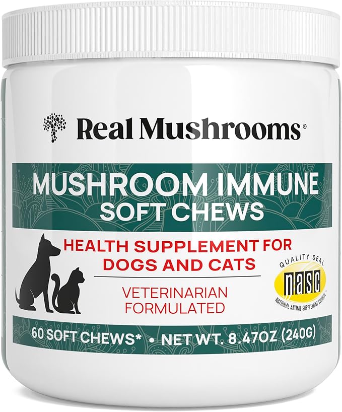 Real Mushroom Immune Pet Chews – For Daily Digestive & Immune Health – Mushrooms for Dogs & Cats Functional Treat – Mushroom Supplement for Dogs & Cats – 1 to 4 Chews For All Breeds & Sizes (60 Count)