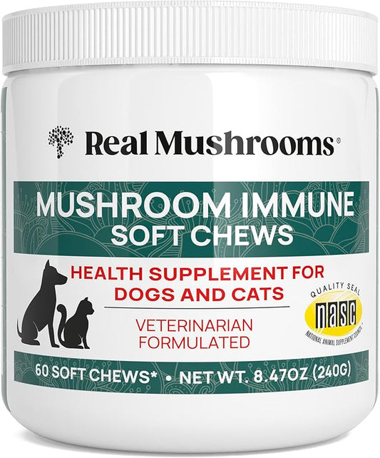 Real Mushroom Immune Pet Chews – For Daily Digestive & Immune Health – Mushrooms for Dogs & Cats Functional Treat – Mushroom Supplement for Dogs & Cats – 1 to 4 Chews For All Breeds & Sizes (60 Count)