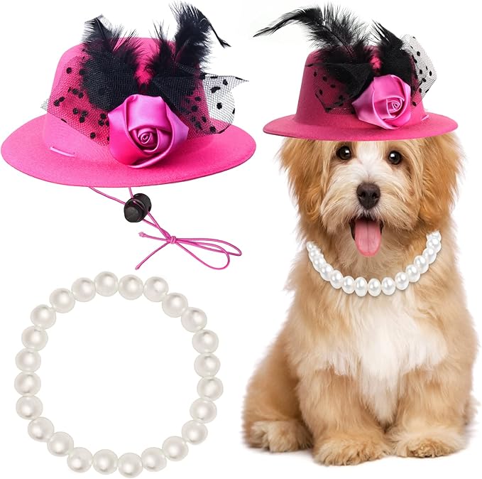 Yewong Formal Top Hat Fascinator Set with Pet Pearl Collar for Kentucky Derby, Christmas, Weeding, Photo Props Party (Pink)