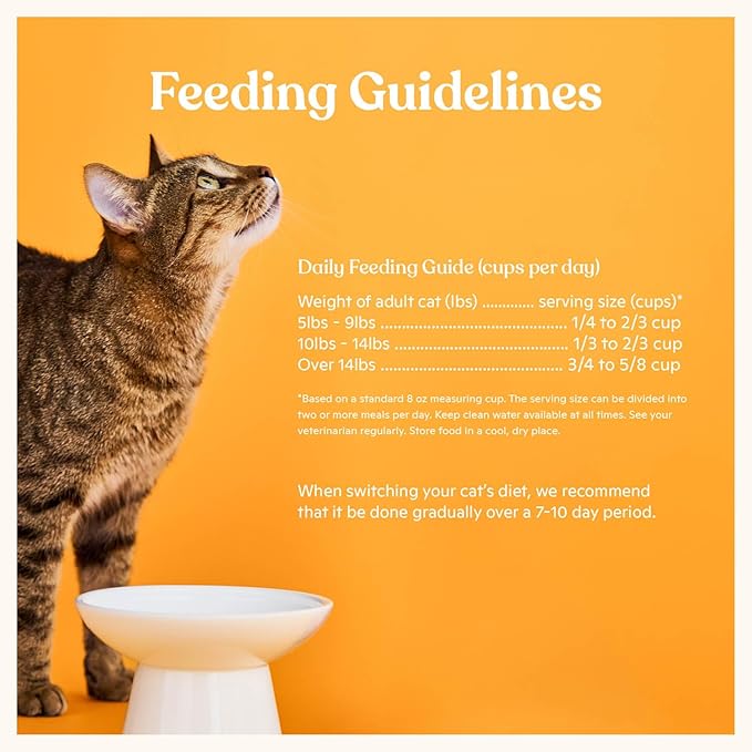 Made by Nacho Dry Cat Kibble 11lb Bag, High Protein and Grain-Friendly Premium Cat Food, Sustainably Caught Salmon and Pumpkin, Infused with Bone Broth for Hydration, Limited Ingredients, Single Bag