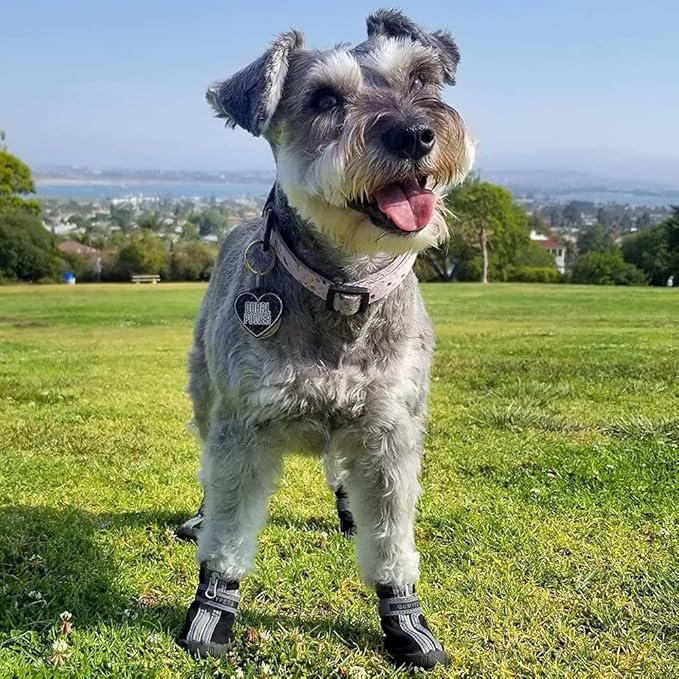 QUMY Dog Shoes for Small Dogs, Puppy Dog Boots & Paw Protectors for Winter Snowy Day, Summer Hot Pavement, Waterproof in Rainy Weather, Outdoor Walking, Indoor Hardfloors Skid-Resistant Sole Black 2