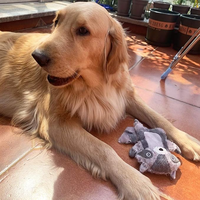 Jalousie 5 Pack Plush Toys Assortment Value Bundle Puppy Pet Mutt Squeak Toy for Medium Large Dogs (5 Pack Premium Corduroy) (1 Pack Large Plush Fox)