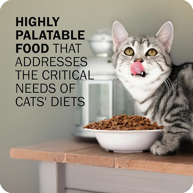 Redbarn Air Dried Powerfood for Cats with Real Chicken – Made in USA High Protein, Grain-Free Dry Cat Kitten Food Full Meal or Topper for Picky Eaters Supports Energy & Healthy Skin Coat – 2.5oz Trial