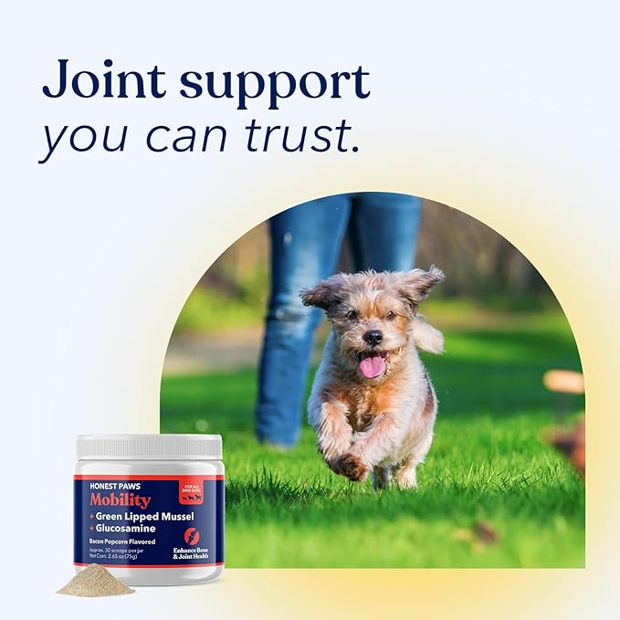 Honest Paws Joint Supplement for Dogs - Supports Mobility, Hip & Joint Health, Eases Stiffness - Glucosamine, Green Lipped Mussel, Fish Oil, Chondroitin Sulfate, MSM, Vitamin C