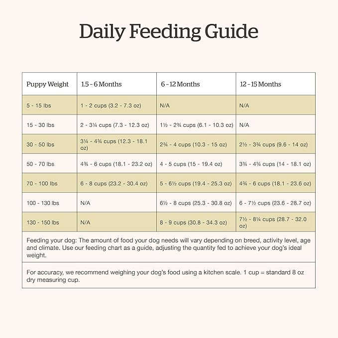 Now Fresh Grain-Free Large Breed Dry Puppy Food with Turkey, Salmon & Duck, Healthy Kibble for Growing Dogs with Real Meat & Fish, Chicken-Free, Pumpkin & Probiotics for Good Digestion, 25 lb Bag