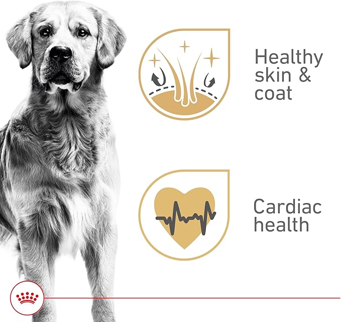 Royal Canin Golden Retriever Loaf in Sauce Canned Dog Food, 13.5 oz can (12-count)