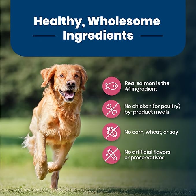 Blue Buffalo Life Protection Formula Adult Dry Dog Food, Helps Build and Maintain Strong Muscles, Made with Natural Ingredients, Salmon & Brown Rice Recipe, 15-lb. Bag