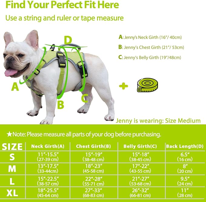 Huntboo Escape Proof Dog Harness, Escape Artist Harness, Reflective Dog Harness with Handle, Durable,Adjustable Vest for Small Medium Large Dogs Walking, Training, and Running Gear(Green,S)
