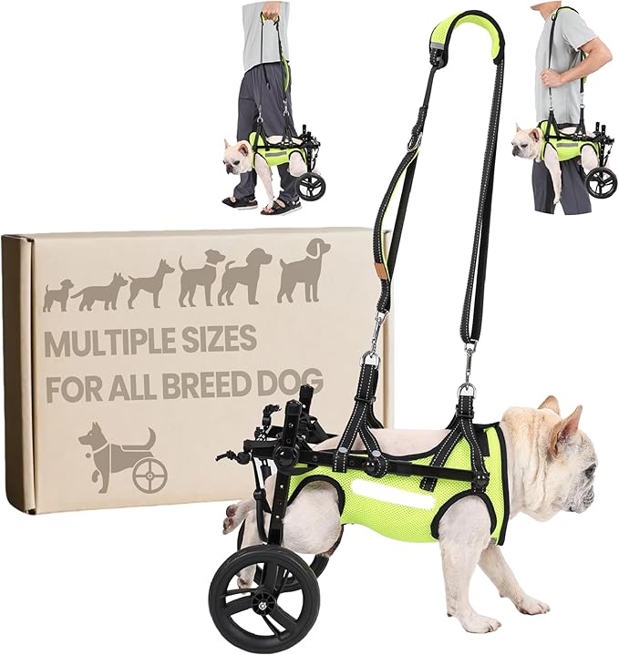 Dog Wheelchair for Back Legs, for Small Breed Dog - Includes High-Visibility Vest, Leash & Sling Lift, for Arthritis, Paralyzed, Injured, or Disabled Dogs - Small