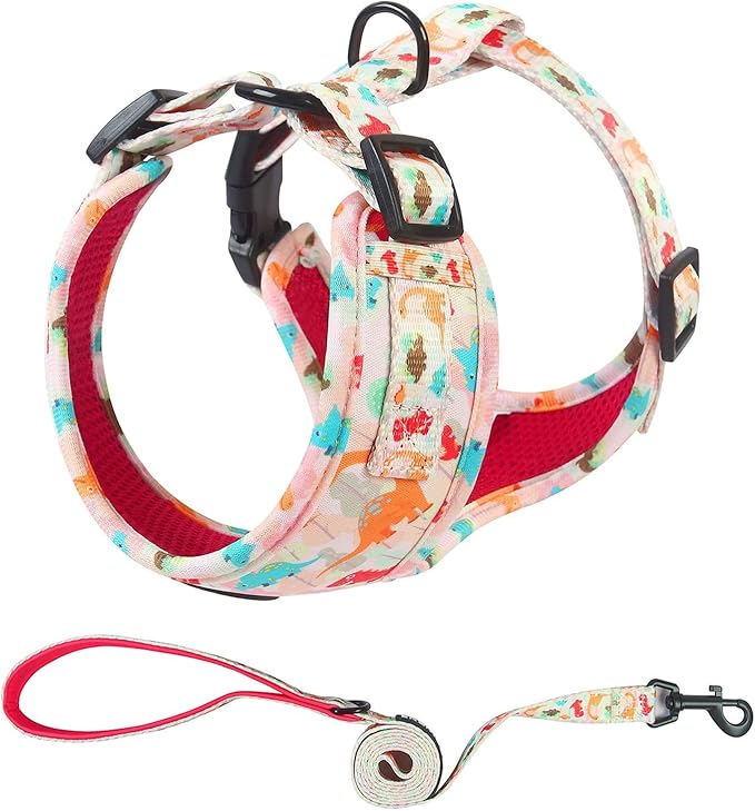 Dog Harness and Leash Set, Adjustable Dog Harness, Dog Leash, No Pull No Choke Puppy Harnesses for Walking Training for Small Medium Pet