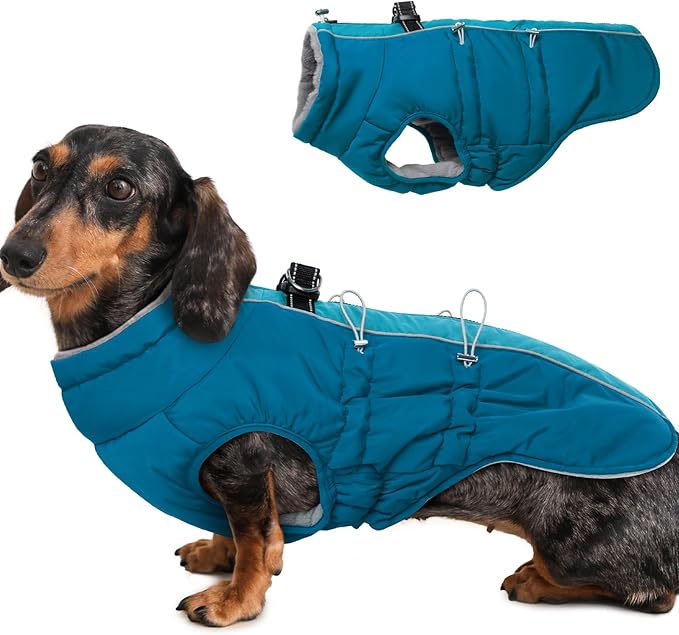 Medium Dog Winter Jacket - Warm Reflective Water-Resistant Snowsuit for Medium Dogs, Green