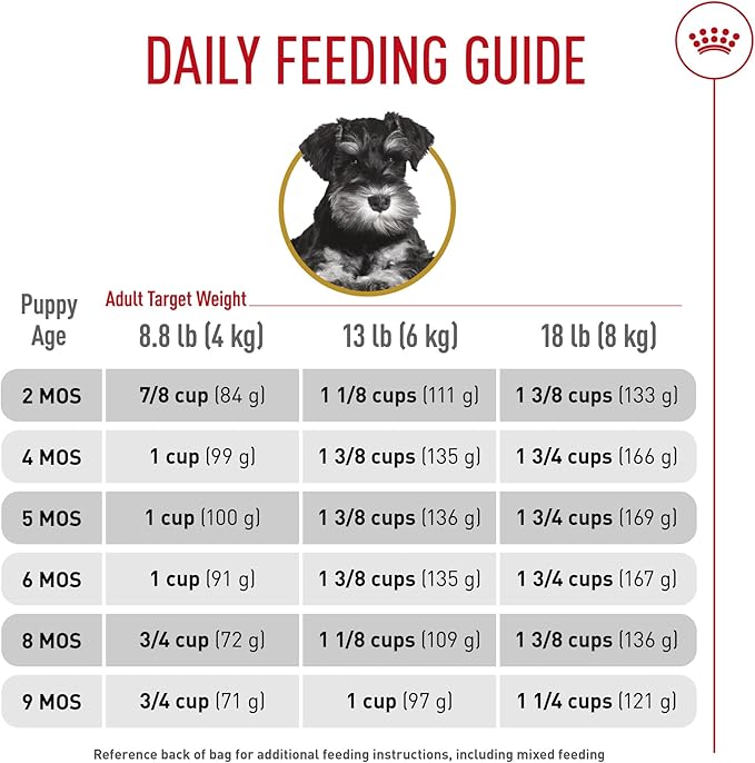 Royal Canin Breed Health Nutrition Miniature Schnauzer Puppy Dry Dog Food, 2.5 lb Bag