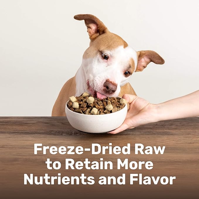 Superfood Nuggets- Premium, Freeze-Dried raw Dog Food Topper or Treat. Powerful Nutrient-Dense Ingredients. No Artificial additives. Beef Tripe and Kale Formula 8oz - 4pk Bundle
