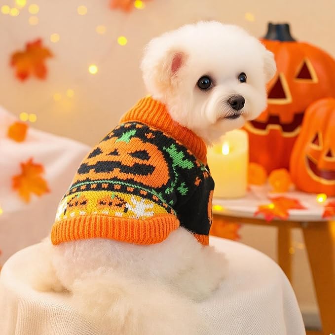 Halloween Pumpkin Dog Sweater, Knit Pet Costume, Orange and Black Fall Winter Outfit for Small Dogs and Cats (Large)
