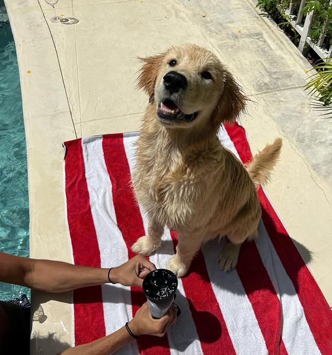 lesotc Dog Water Bottle, Portable Water Dispenser with Bowl, Leak Proof Pet Travel Squeeze Bottle, Puppy Essentials Dog Stuff Accessories for Outdoor Walking, Hiking, Camping