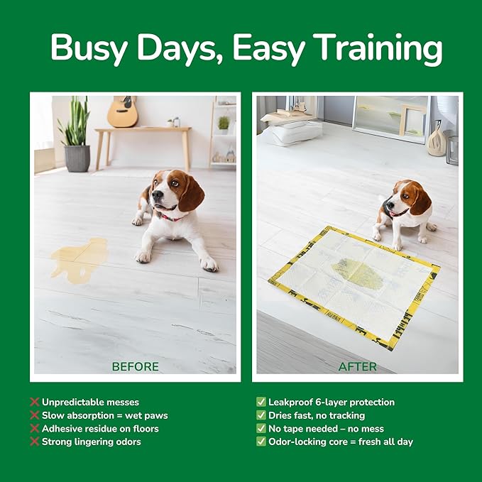Pet N Pet 50 Counts Pee Pads for Dogs, 48% USDA Certified Plant Based Puppy Pee Pads, Unscented Dog Pad, Leak-Proof Training Pad for Dogs