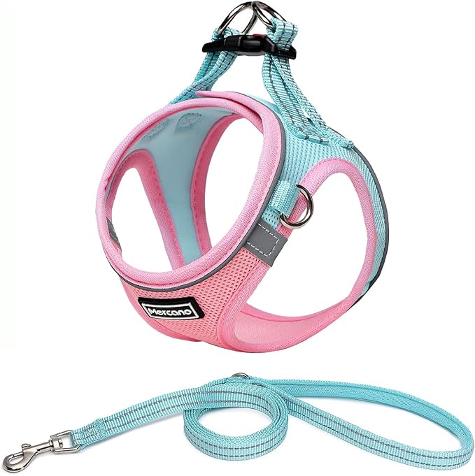 Mercano Soft Mesh Dog Harness and Leash Set, No-Chock Step-in Reflective Breathable Lightweight Easy Walk Vest Harnesses with Safety Buckle for Small Dogs, Cats (M, Pink Blue)