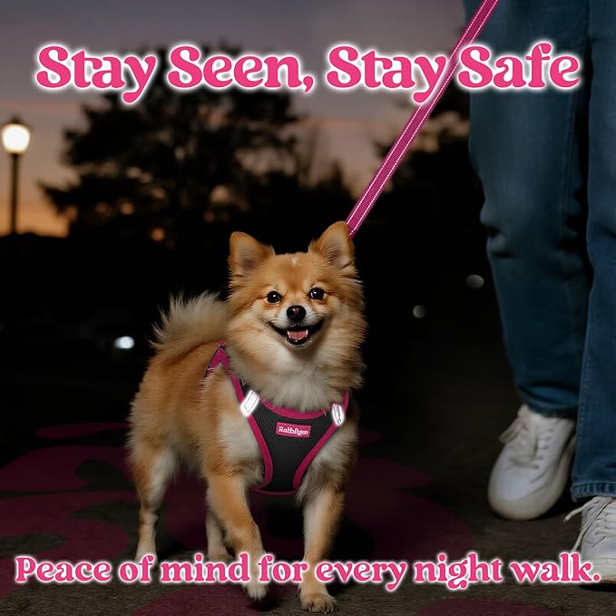 rabbitgoo Dog Harness Small Sized and Leash Set, Step-in Breathable Pet Harness, Soft Walking Reflective Puppy Vest for Small Dogs, Black & Rose Red, XS