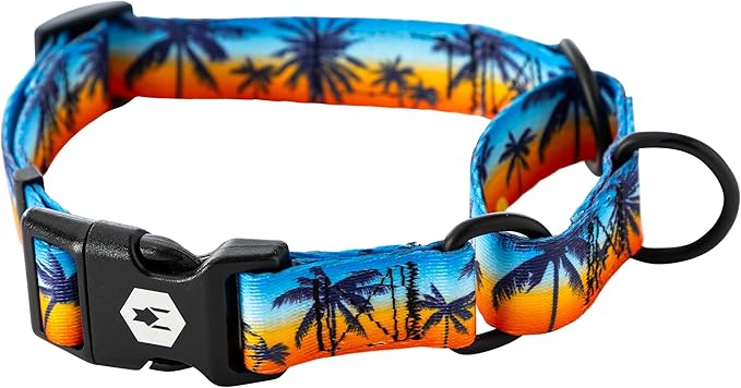 Wolfgang Heavy Duty Martingale Dog Collar with Quick Release Nylon Buckle for Walking & Training, SunsetPalms Print, Large