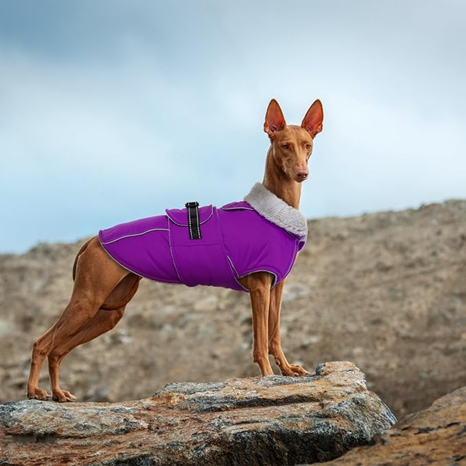 Lelepet Warm Dog Coat Reflective Fleece Vest Waterproof Dog Jacket with Adjustable Buckle Hook & Loop Windproof Cold Weather Coats for Small Medium Large Dogs, Purple, XXL