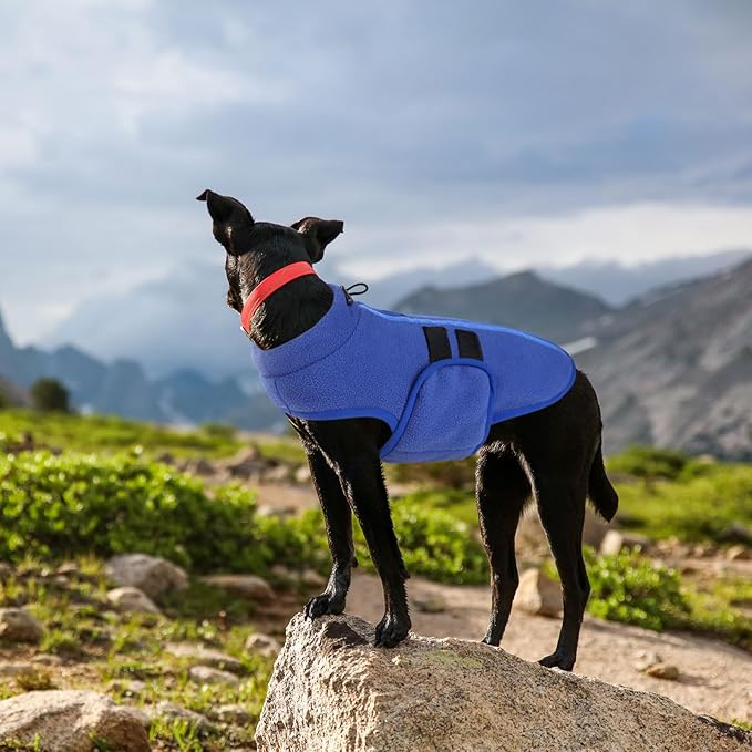 Queenmore XXS Dog Sweater, Soft Fleece Vest Pullover Dog Jacket with Leash Hole, Warm Winter Dog Coats Cold Weather Doggy Dachshund Sweaters for Small Dogs Cats Boy or Girl (Blue, XXS)