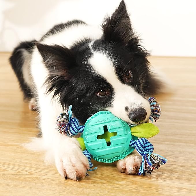 Dental Chew Toys for Aggressive Chewers Large Breed, Tough Dog Toothbrush Toys for Medium Large Dogs Teeth Cleaning (Green(Turtle))