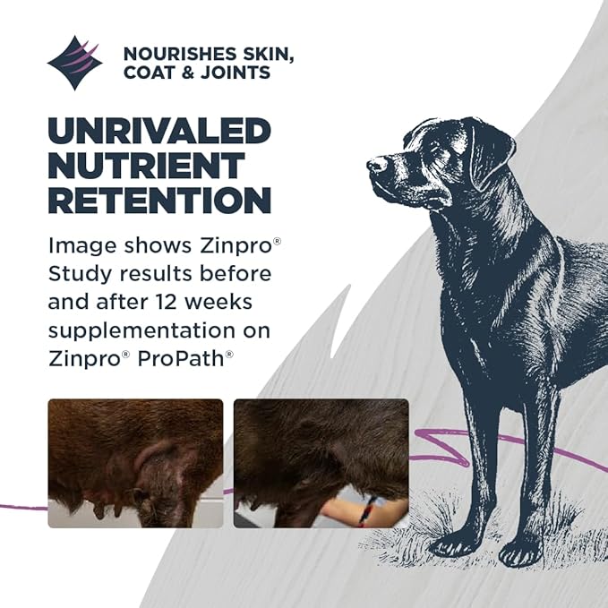 Blackwood Sensitive Skin & Stomach Dry Dog Food, Salmon Meal & Brown Rice with Ancient Grains, 10 Pound Bag with Prebiotics & Probiotics to Promote Gut Health