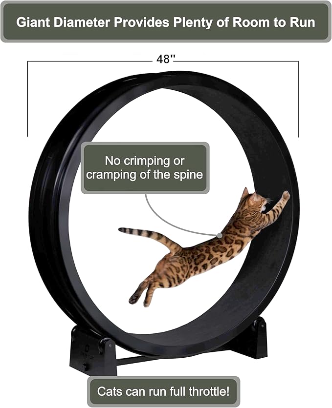 One Fast Cat - Cat Exercise Wheel - Gen. 7 - Safe 48" Diameter - Made in The USA - Black Wheel with Black Felt Traction Pads and Light-Up LED Inline Wheels