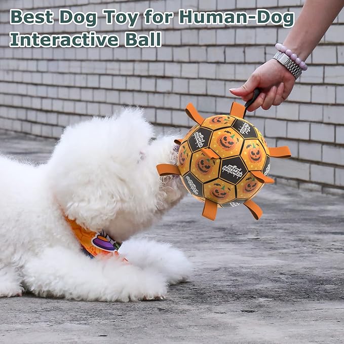 QDAN Halloween Dog Toys, Soccer Balls, Interactive Pet Toys, Puppy Dogs Birthday Gifts, Durable Dog Balls for Small Medium Dogs（6 Inch）