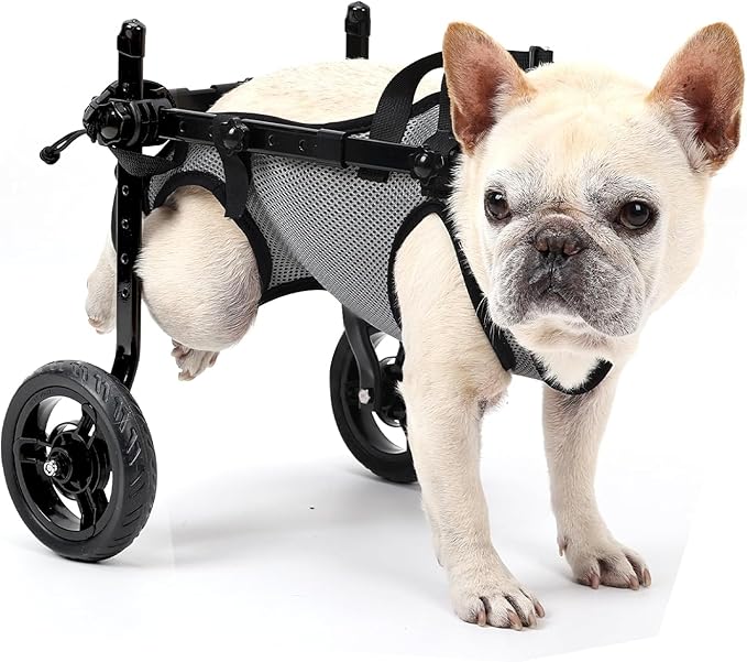 Dog Wheelchair for Back Legs, Light Weight Dog Wheelchair Cart with Disabled Hind Legs Walking, Adjustable