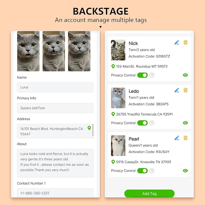 Smart QR Code Cat Collar 2-Pack, Breakaway Reflective Collar with Digital ID Tag - The Smart Upgrade to Personalized Name Collars, Adjustable with Bell (Yellow & Green)
