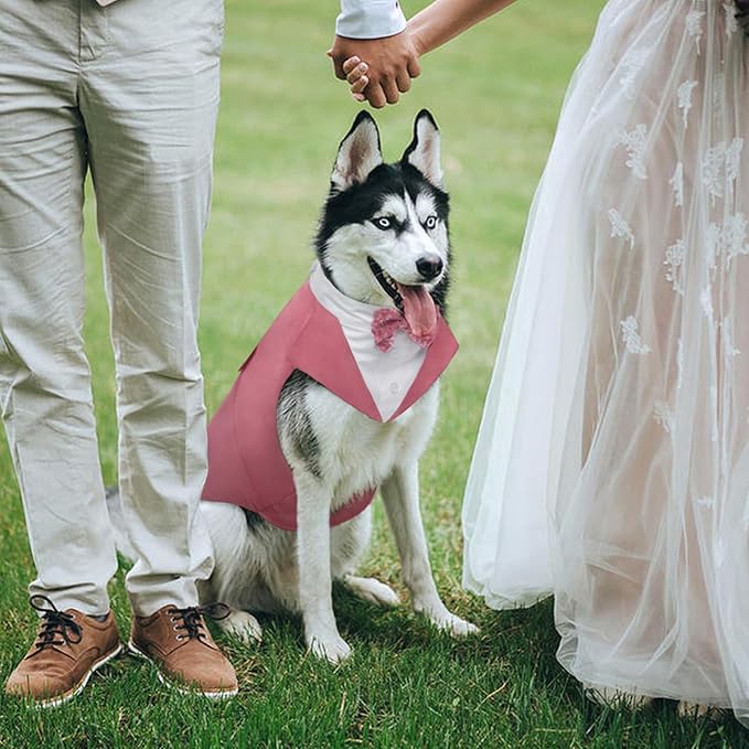 Kuoser Dog Tuxedo Dog Suit and Bandana Set, Dogs Tuxedo Wedding Party Suit, Doggy Prince Bow Tie Shirt Formal Pet Wedding Attire for Large Medium and Small Dogs Golden Retriever Samo Bulldogs