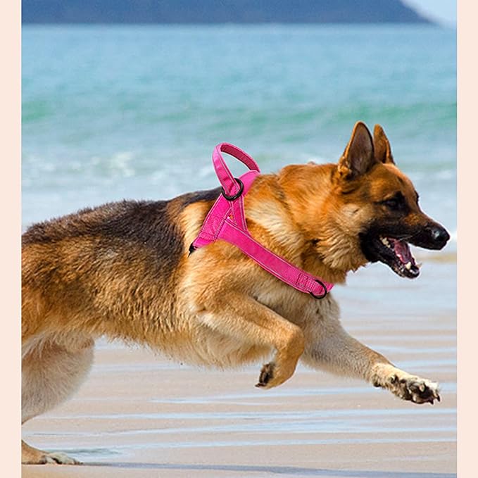 No Pull Dog Harness Pink for Small Medium Large Sized Dog, Reflective Escape Proof Adjustable Dog Harnesses with 2 Patch, XL