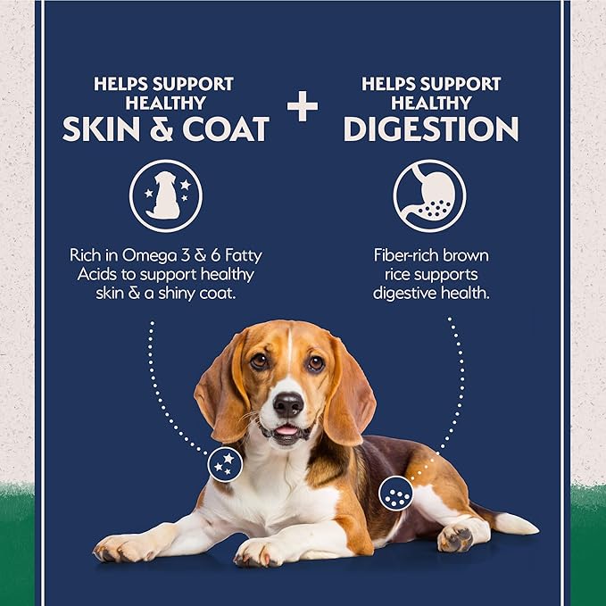 Natural Balance Limited Ingredient Adult Dry Dog Food with Healthy Grains, Lamb & Brown Rice Recipe, 4 Pound (Pack of 1)