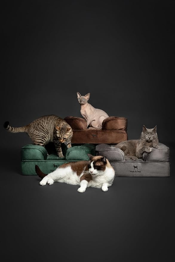 NOAH & PAW Small Dog Bed, 20x15x8 Inch, Cat Bed for Indoor Cats, Orthopedic Eggshell Memory Foam Infused with Cooling Gel, Waterproof Inner Cover Machine Washable (Denim Collection)