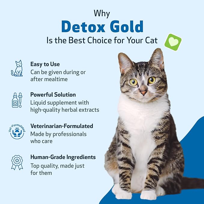 Pet Wellbeing Detox Gold for Cats - Gentle Detoxification & Elimination Support, Immune System Care, Nettle, Blessed Thistle, Burdock Root - Veterinarian-Formulated Herbal Supplement 2 oz (59 ml)