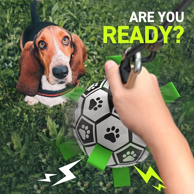 QDAN Tether Tug Outdoor Dog Toy, Tetherball Ball and Rope Set with Pole, Dog Rope Toy, Exercise Tug of War Toy, Tether Tug for Large Dogs, Tug Toys for Large Medium Small Pet