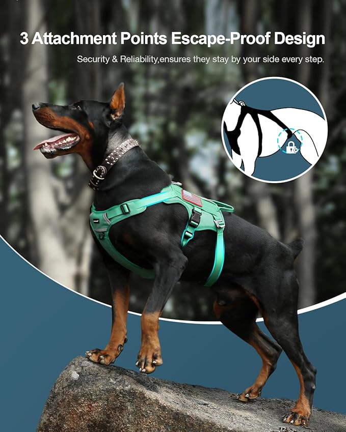 FAYOGOO Tactical Dog Harness for Large Medium Dogs - Mesh Breathable Dog Harness Escape Proof with Handle - No Pull Military Service Dog Vest with Removable Patches for Walking,Training,Hiking