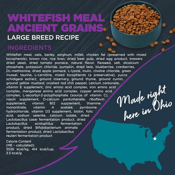 Blackwood Large Breed Dry Dog Food, Whitefish with Ancient Grains, 10 Pound Bag for Adult Dogs, Slow Cooked with Green Mussels to Promote Hip & Joint Health