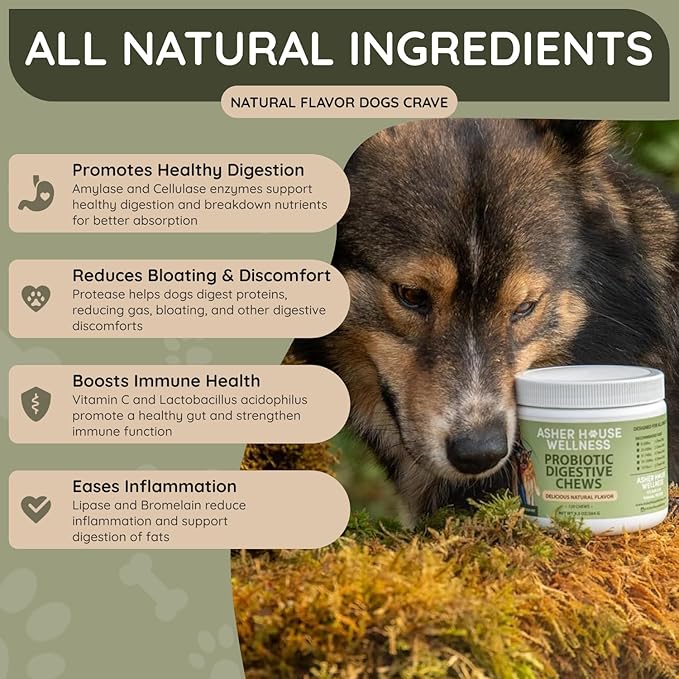Asher House Wellness Probiotics Digestive Chew for Dogs - Dog Probiotic, Digestive Enzymes for Gut Health & Digestion - Pet Chews for Diarrhea, Upset Stomach, Allergies, Itchy Skin Relief, 120 Chews