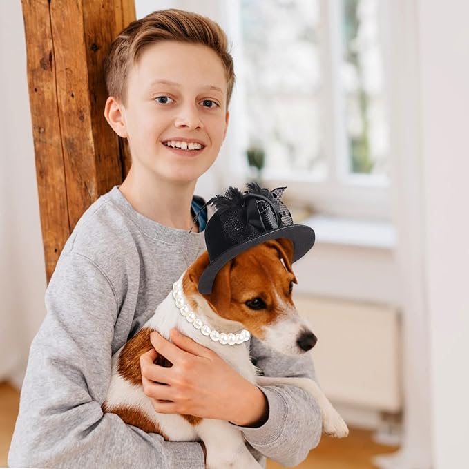 Yewong Formal Top Hat Fascinator Veil Kentucky Derby Hat with Pet Pearl Collar for Christmas Weeding Photo Props Party (Black)