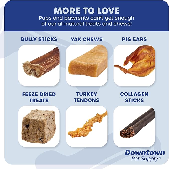 Downtown Pet Supply USA-Made 12", 1 Lb. Jumbo Bully Sticks for Large Dogs - Rawhide Free Dog Chews Long Lasting and Non-Splintering - Single Ingredient, Low Odor Bully Sticks for Medium Dogs