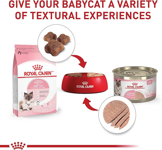 Royal Canin Feline Health Nutrition Mother & Babycat Queen Ultra Soft Mousse in Sauce Cat Food, 5.1 oz (Pack of 24)